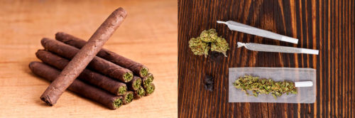 Blunt Vs Joint — How Are They Different Comparison