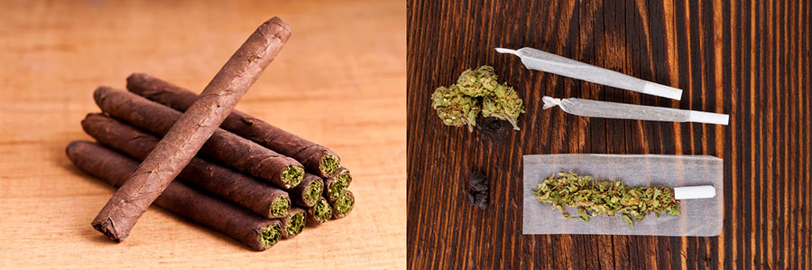 blunt vs joint