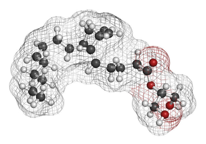 Endocannabinoid