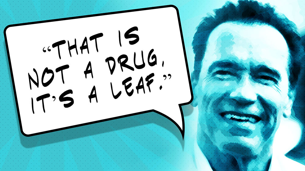 Arnold Schwarzenegger marijuana quotes