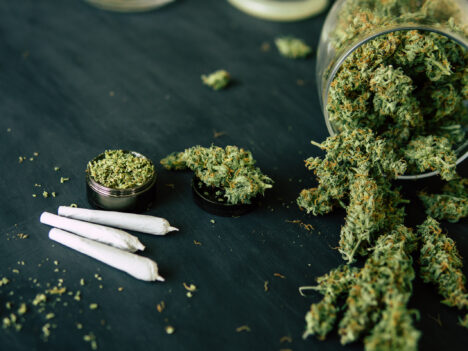 Why Does Weed Make You Laugh? A Complex Mechanism Unveiled