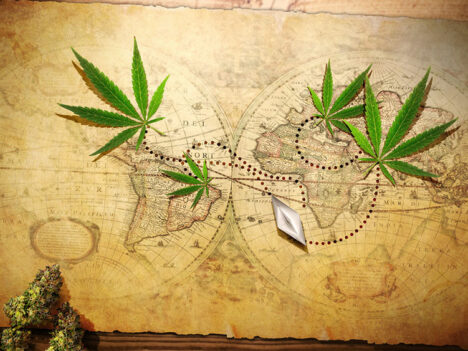 History of Marijuana: An All-Encompassing Journey Through The Ages