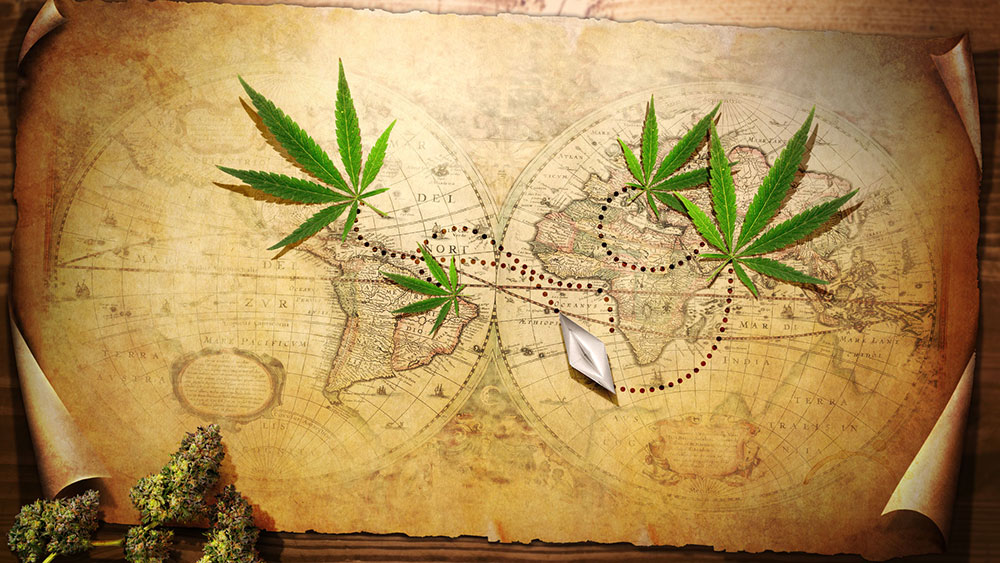 History of marijuana