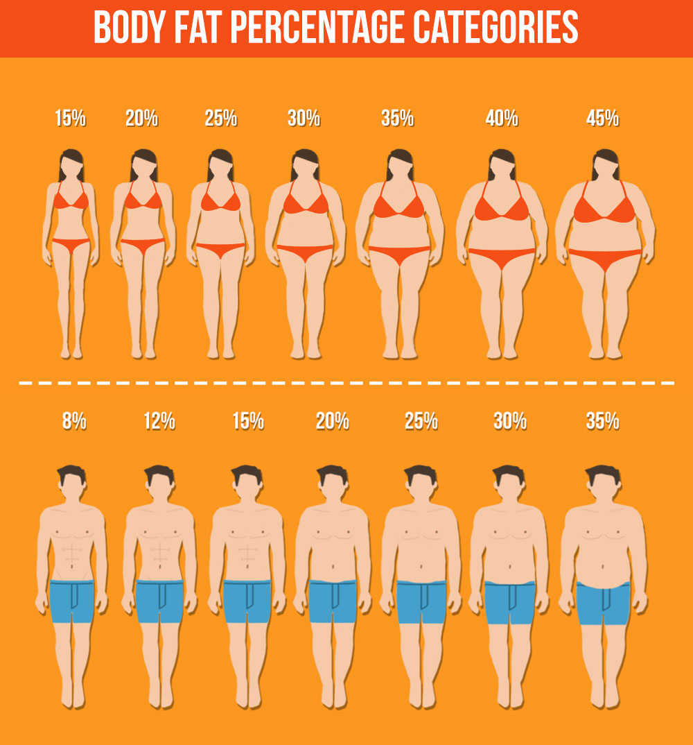 Chart to assess body fat levels visually