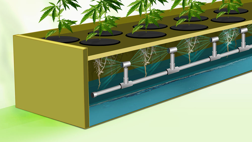 Aeroponics illustration