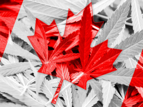 Canada’s Legal Cannabis Could Be Worth Up To $4.2 Billion Annually