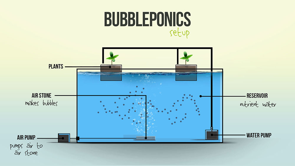 Bubbleponics