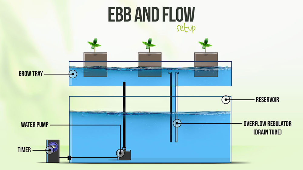 ebb and flow hydroponics diy - Diy (Do It Your Self)