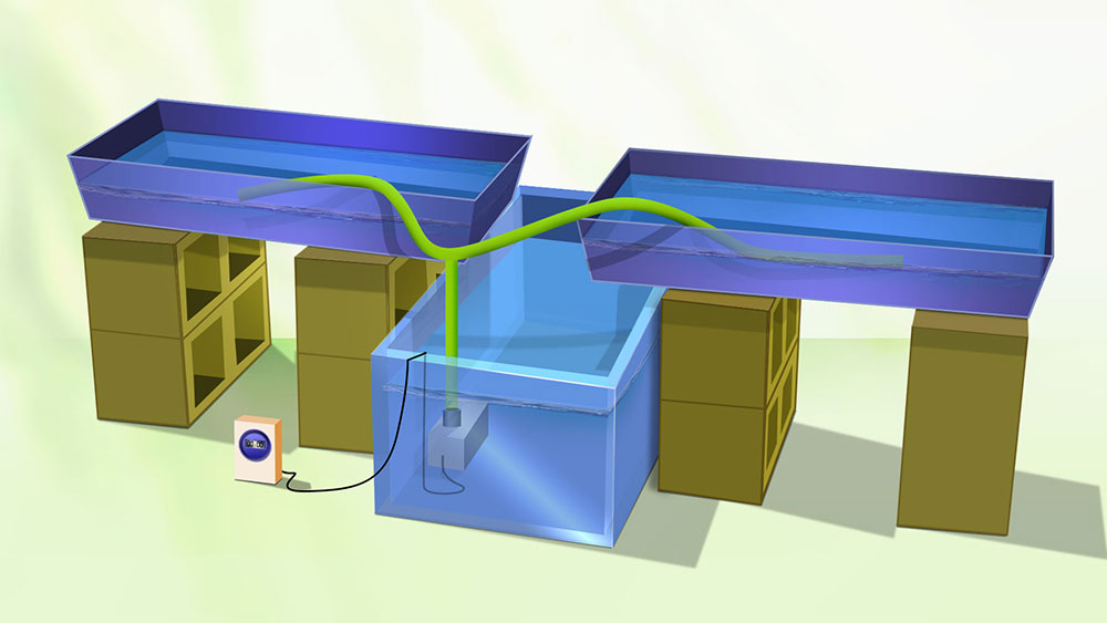 ebb and flow hydroponics kit