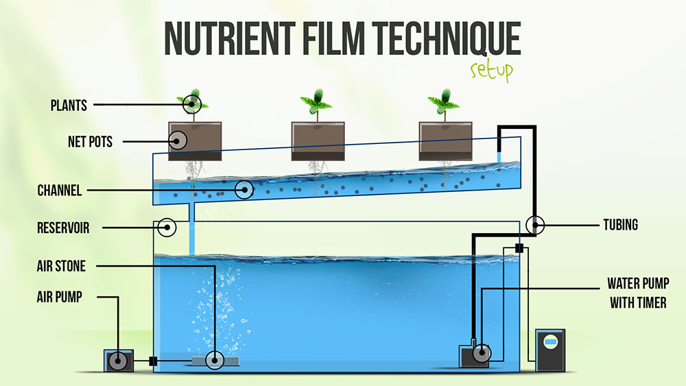 Single channel NFT system