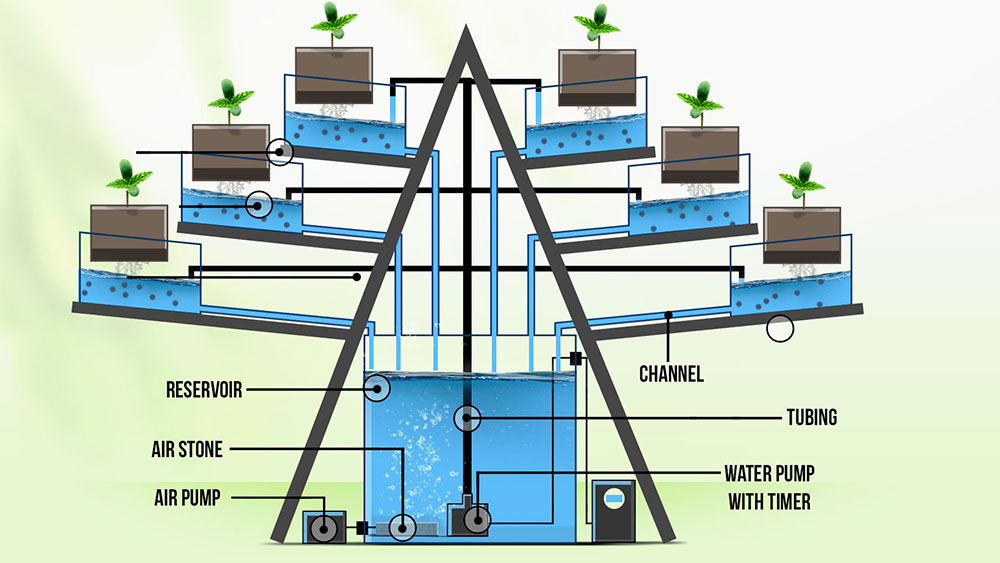 Vertical Hydroponics: NFT Systems and