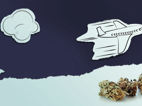 Flying with marijuana: How much pot can you have on a plane in Canada?