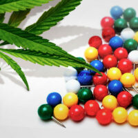 Marijuana for Pain Relief—Here’s How to Reclaim Your Life Back