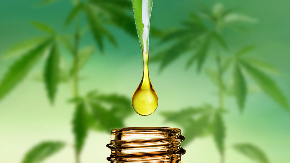 CBD oil