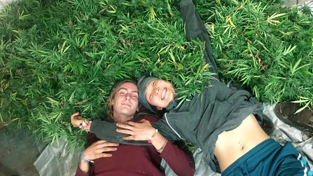 laying on weed