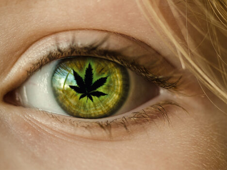 Marijuana and Glaucoma: Overview of Clinical Research
