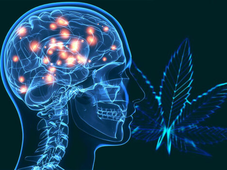 10 Best Marijuana Strains for Parkinson’s Disease