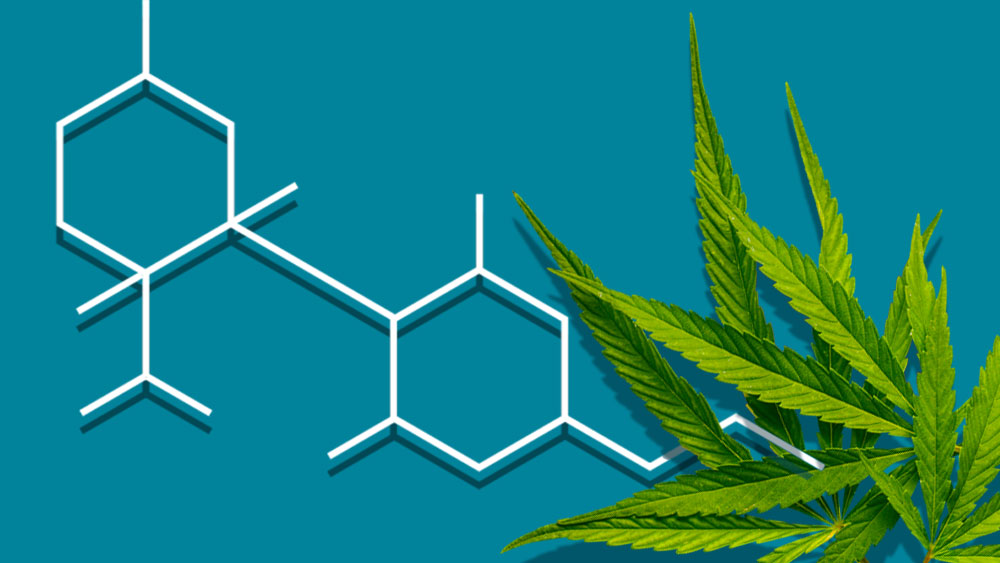 Rick Simpson Oil Dosage Chart