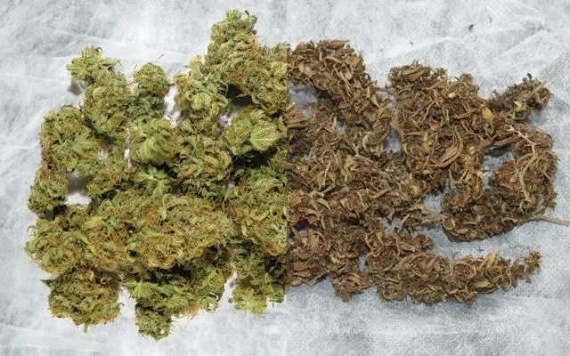 Dried and cured weed