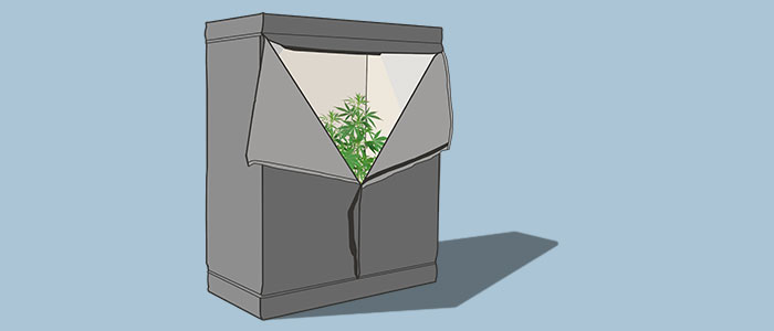 Weed growing tent