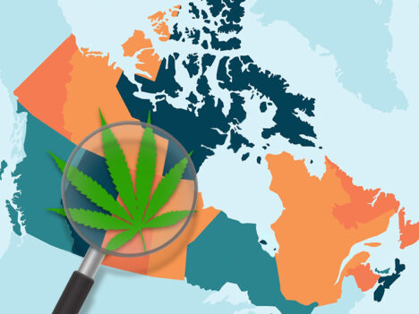 Cannabis laws in Canada: The complete province-by-province guide