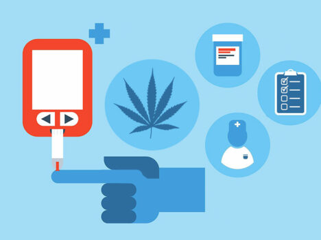 10 Best Cannabis Strains for Diabetes (Research-Backed)
