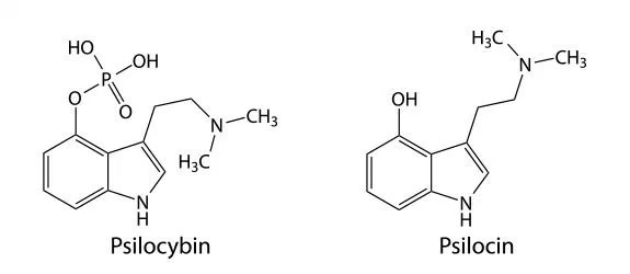 Psilocybin and psilocin formulas