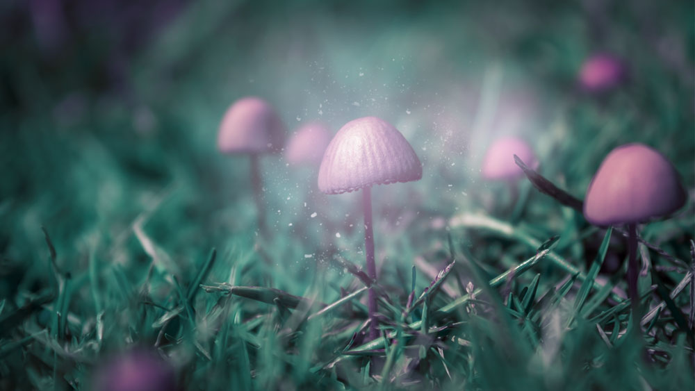 MAGIC MUSHROOMS: NEW RESEARCH ON PSILOCYBIN AND ITS BENEFITS