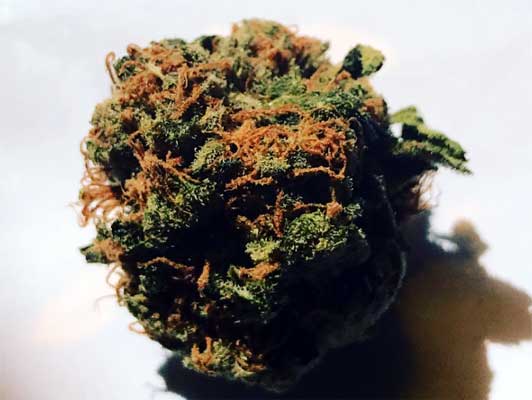 sour diesel taste