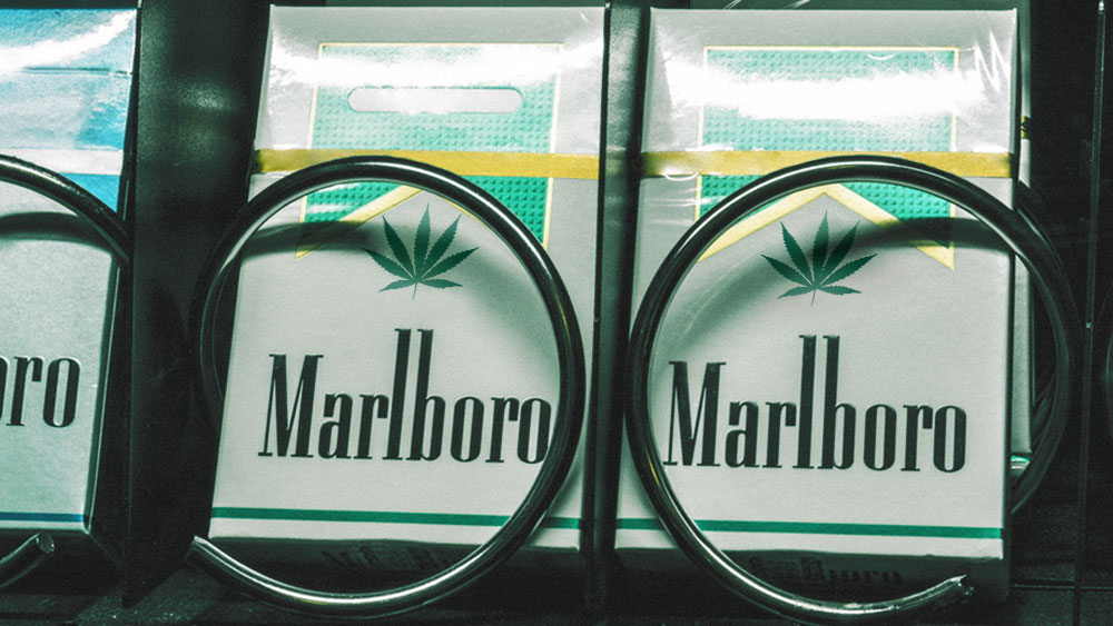 cannabis branding weed marlboro