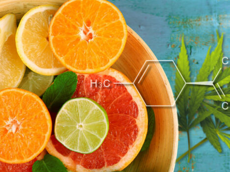 Limonene: Benefits, Research and Best Strains (7 Studies)