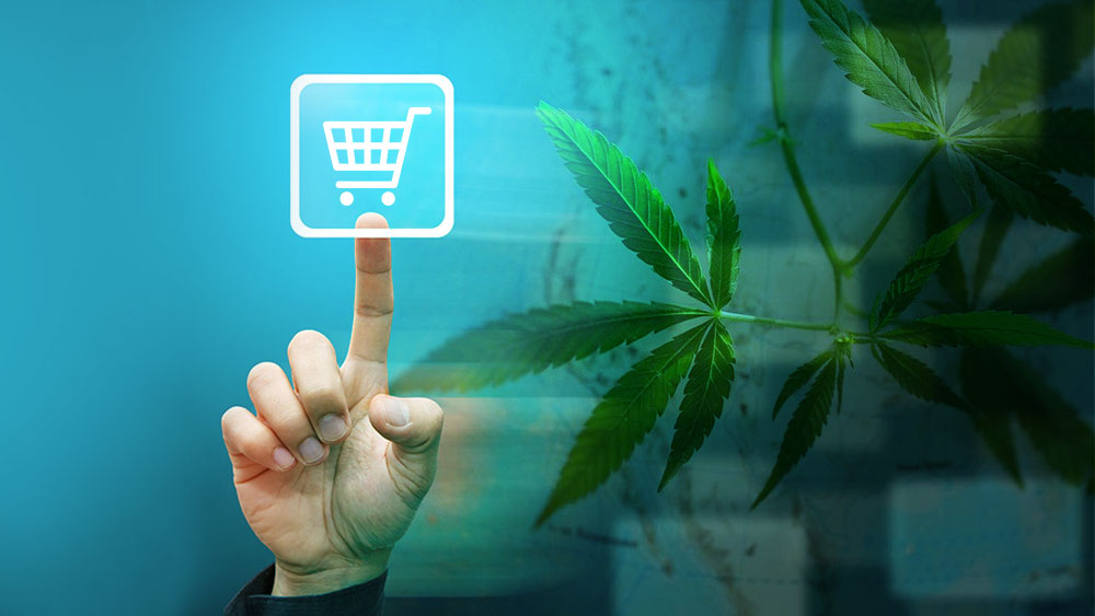 Where to buy legal cannabis in Canada online: List of all websites