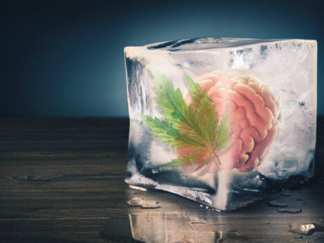 How to Deal with Memory Loss and Other Negative Effects of Cannabis