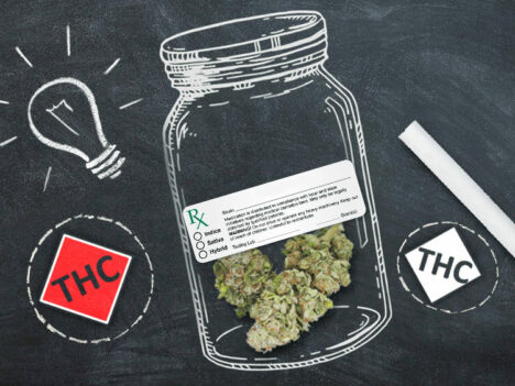 Understanding legal cannabis potency labeling