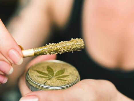 What is Kief? Exploring the Caviar of Weed in 26 Questions