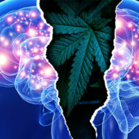 Marijuana and Schizophrenia: Triggering or Treating?