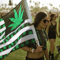 An In-Depth Look at Cannabis Festivals (Protest and Appreciation)