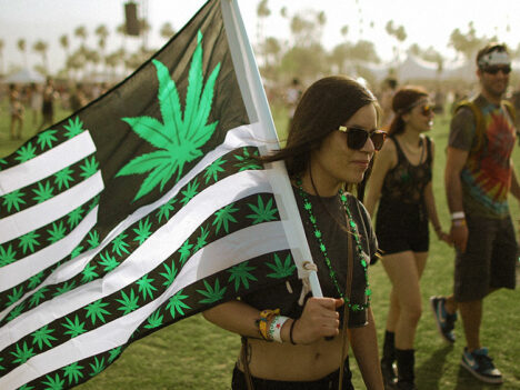 An In-Depth Look at Cannabis Festivals (Protest and Appreciation)