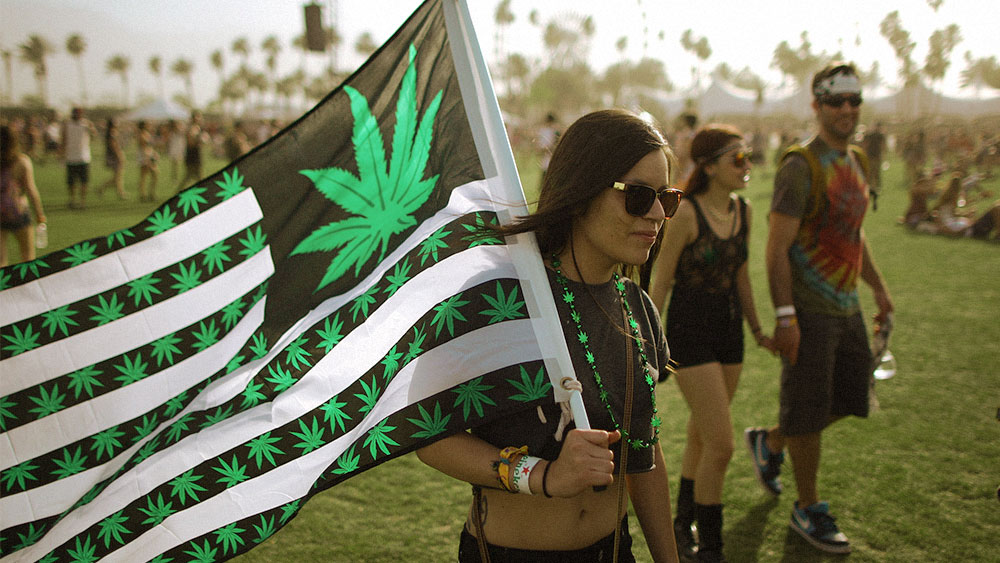 Cannabis festivals