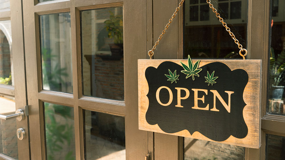 illegal cannabis stores