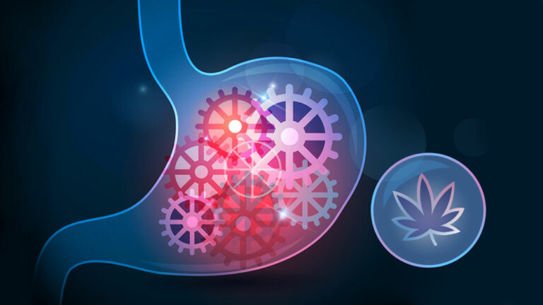 Cannabis For IBS: Treating Irritable Bowel Syndrome With Medical Marijuana