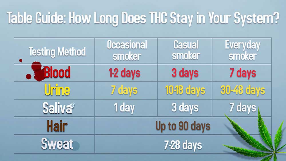 Mouth Swab Drug Test Detection Period Chart