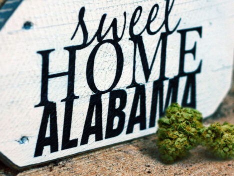 Medical marijuana legalization bill  introduced in Alabama
