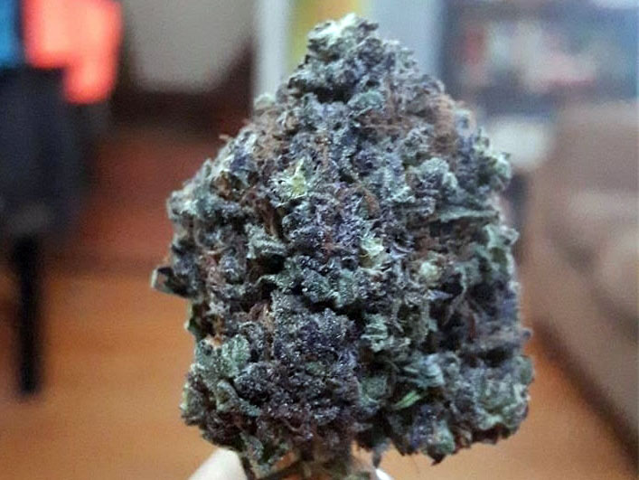 black diesel