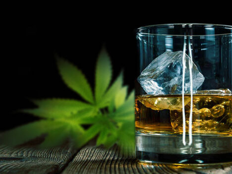 How Do Cannabis and Alcohol Mix? Studies Show It Can Get Dangerous