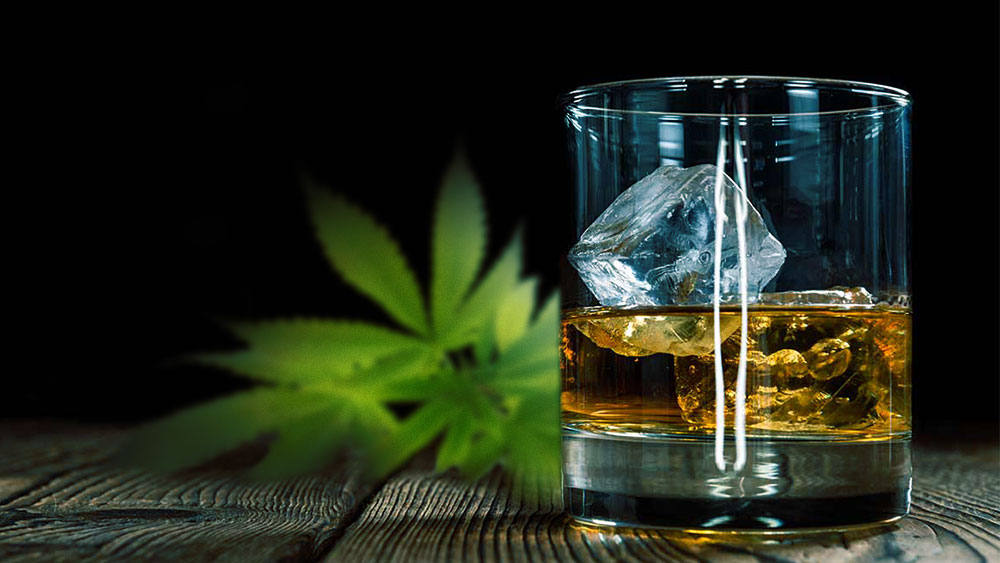 Cannabis+replaces+alcohol+as+the+most+common+harmful+substance%3A+driver+survey