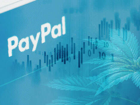 PayPal starts lobbying for the legalization of marijuana in the US