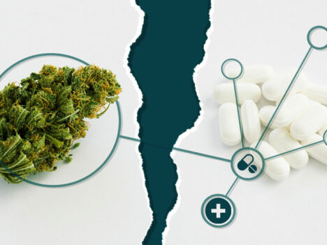 How Does Cannabis Interact with Other Drugs?