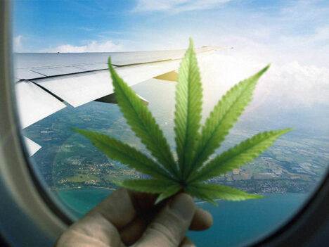 TSA now allows hemp-derived CBD, FDA-approved cannabis med on flights