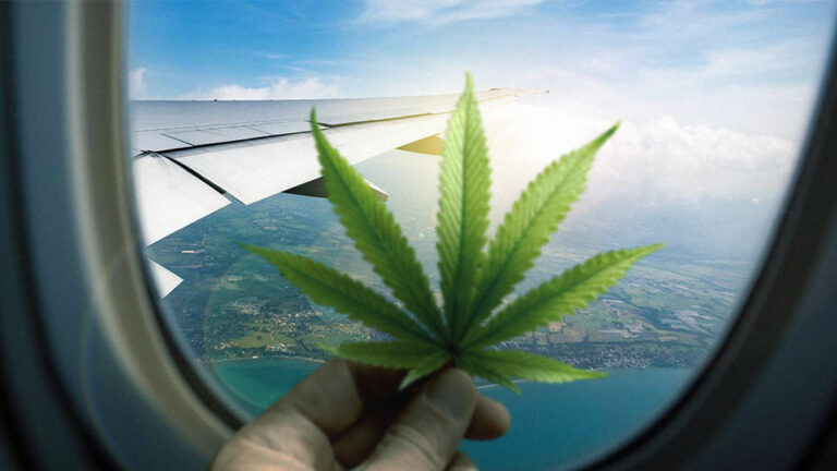 TSA Now Allows Hemp-derived CBD, FDA-approved Cannabis Med On Flights